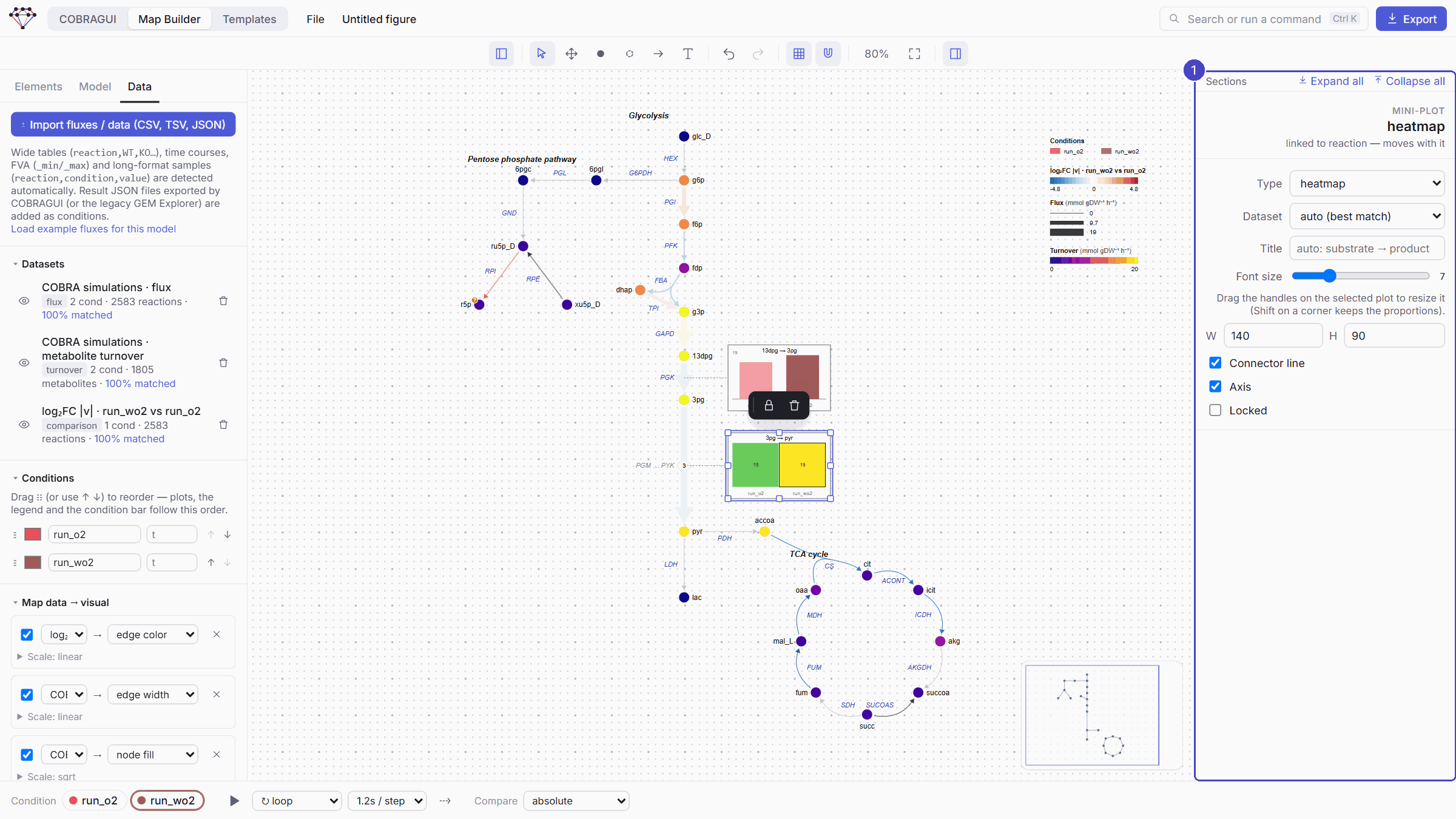 The PGM, ENO and PYK arrows collapsed into one arrow labelled "PGM … PYK 3" with a linked heatmap of its flux in run_o2 and run_wo2; the inspector shows the heatmap settings.